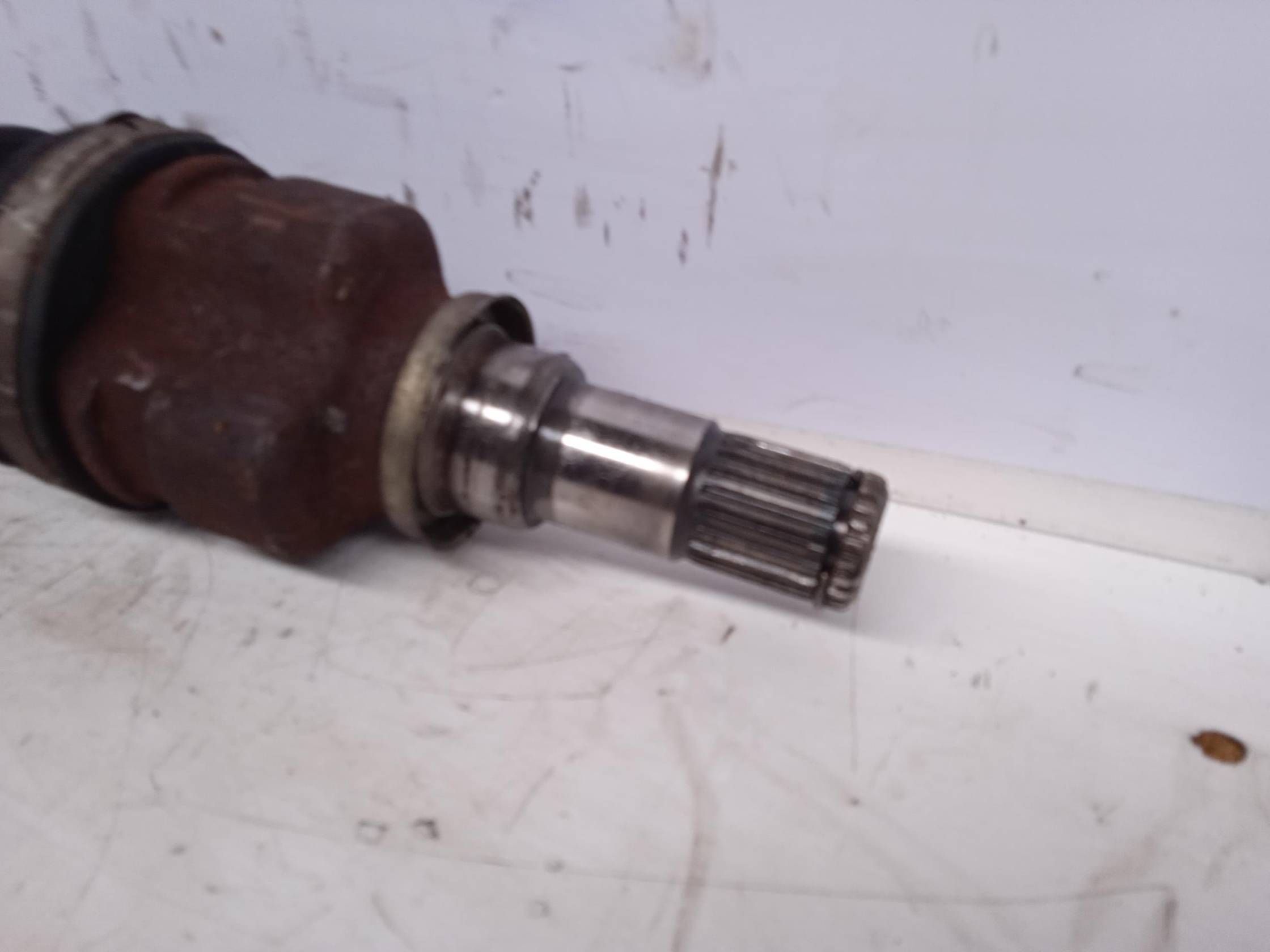 Semialbero ant. compl. sx.